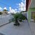 Casa, 3 quartos, 324 m² - Foto 6