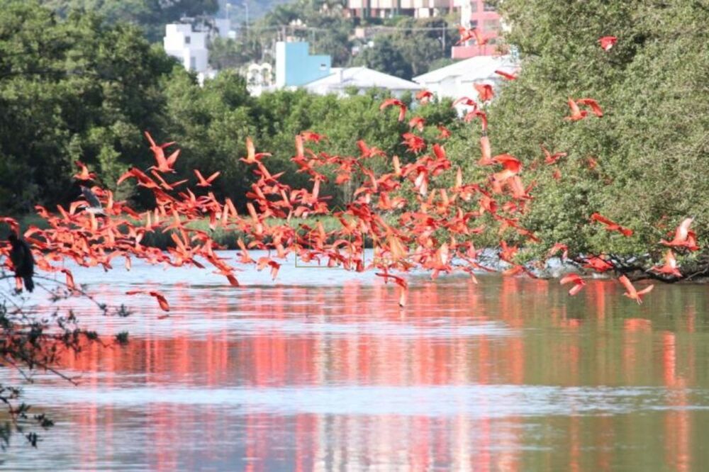 Apartamento, 2 quartos, 61 m² - Foto 6