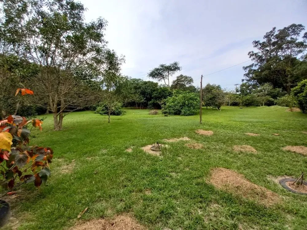 Terreno, 8 hectares - Foto 15