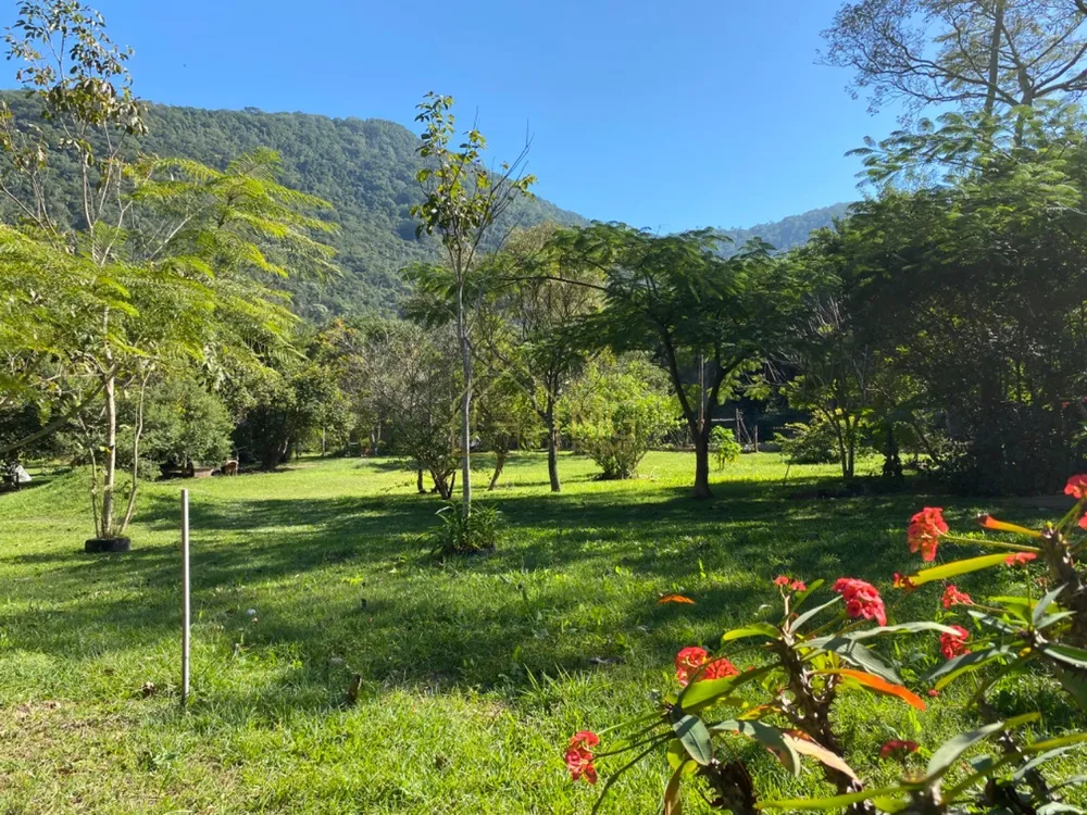 Terreno, 8 hectares - Foto 1