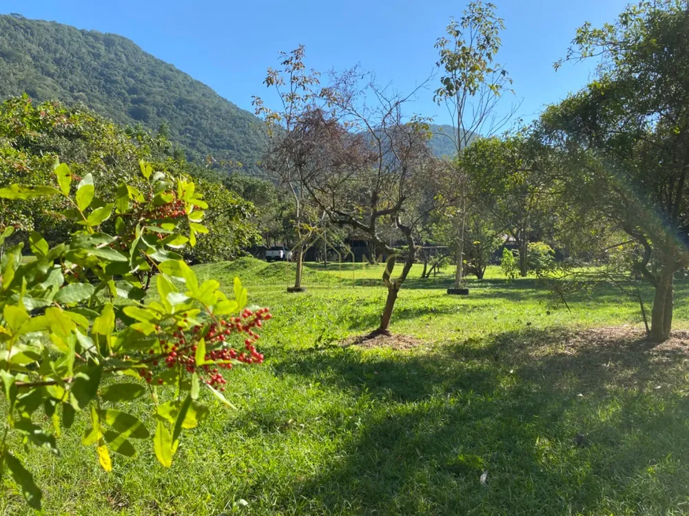 Terreno, 8 hectares - Foto 4