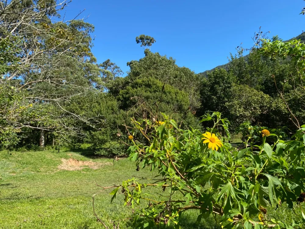 Terreno, 8 hectares - Foto 3