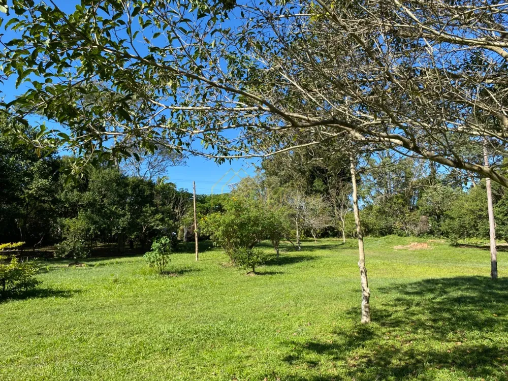 Terreno, 8 hectares - Foto 9