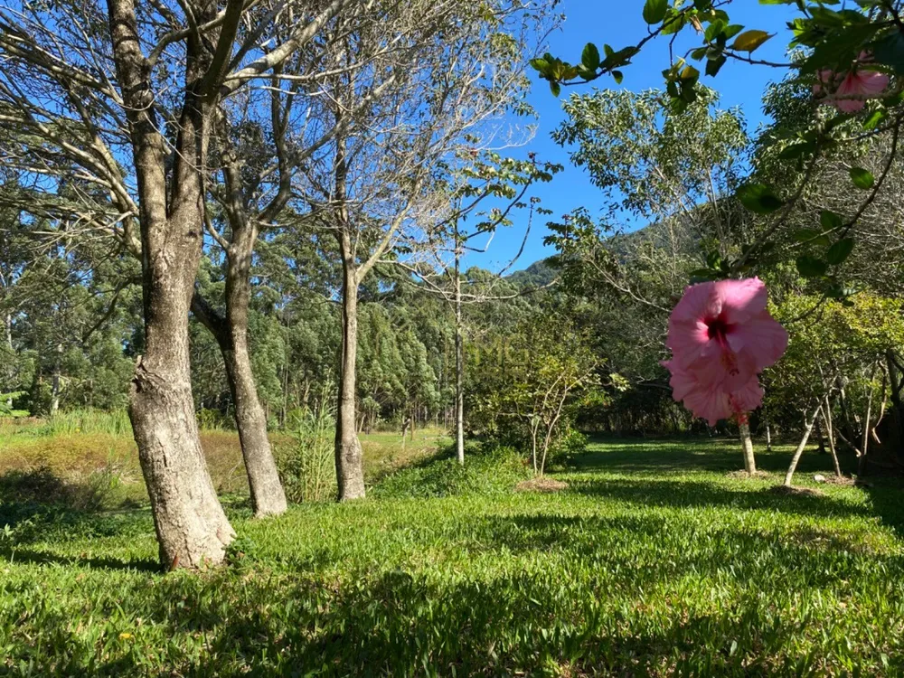 Terreno, 8 hectares - Foto 2