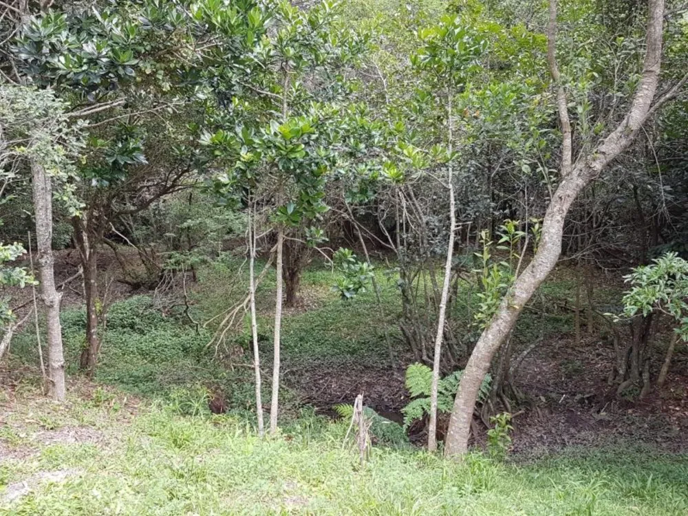 Terreno, 8 hectares - Foto 14