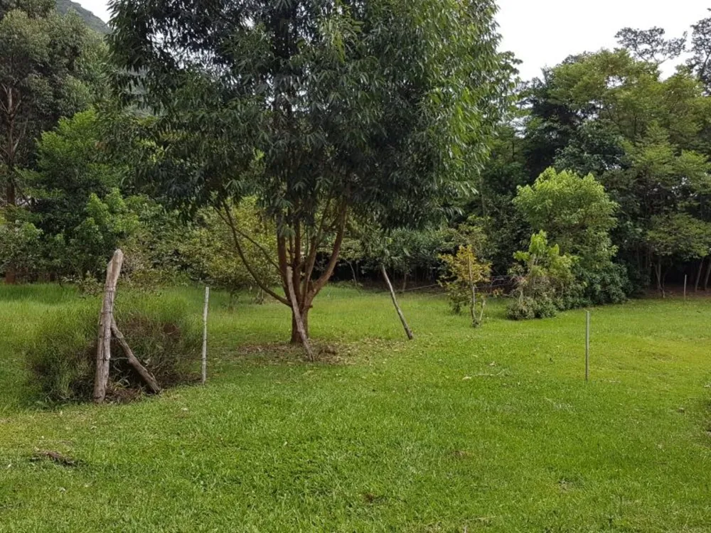 Terreno, 8 hectares - Foto 11