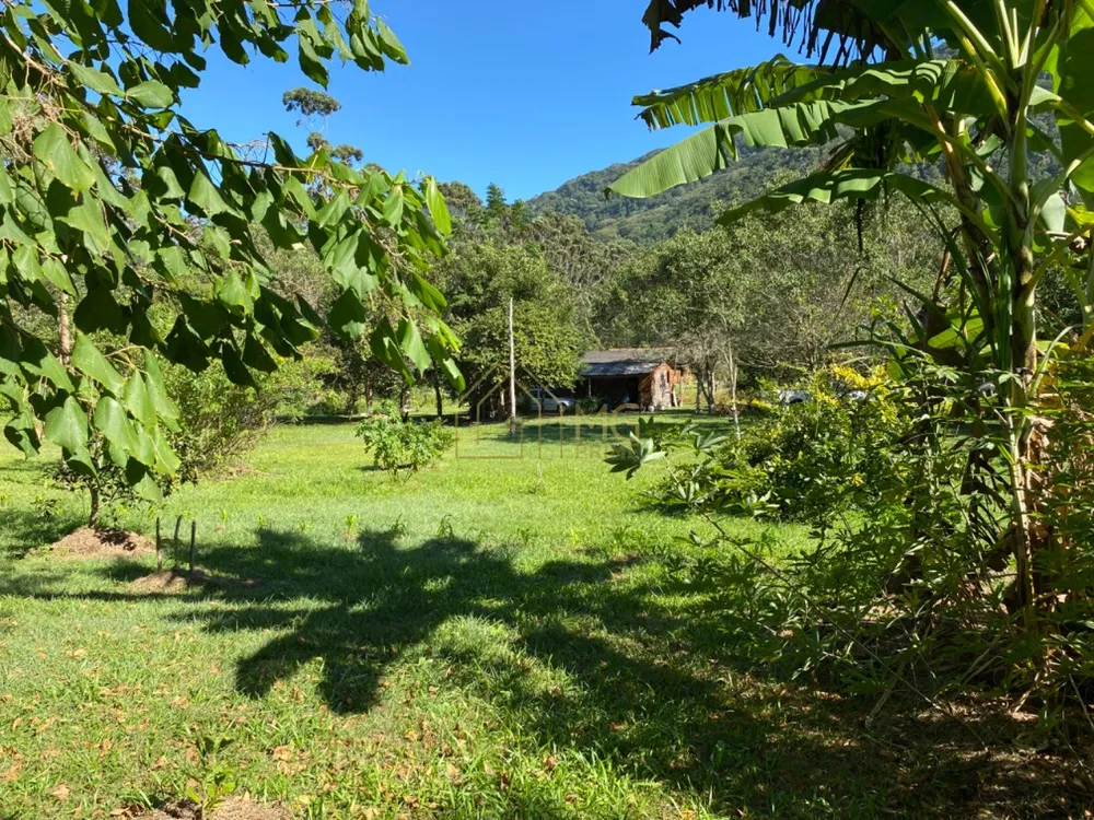 Terreno, 8 hectares - Foto 6