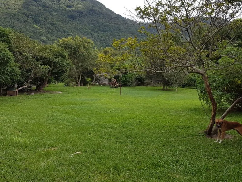 Terreno, 8 hectares - Foto 10