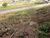 Terreno, 454 m² - Foto 6