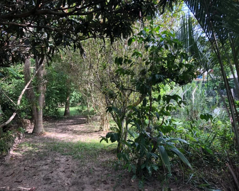 Loteamento e Condomínio, 5840 m² - Foto 11