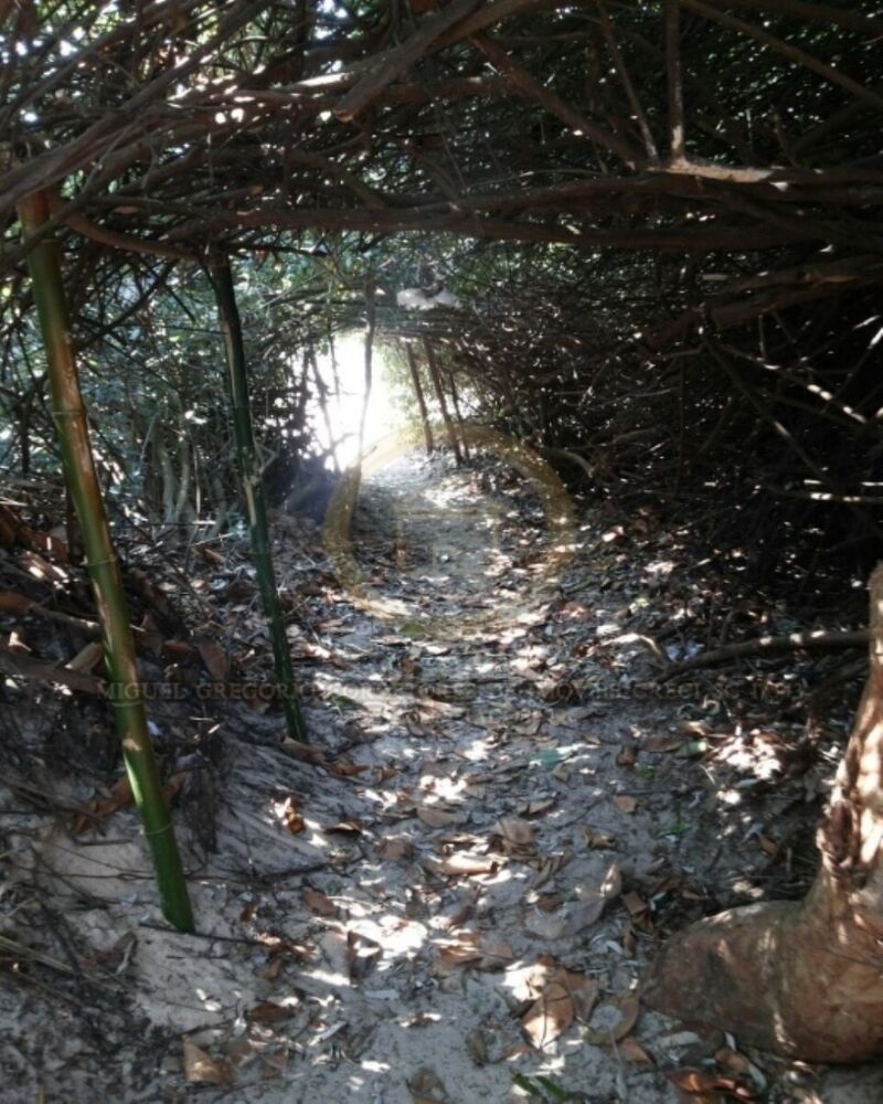 Casa, 3 quartos, 161 m² - Foto 4