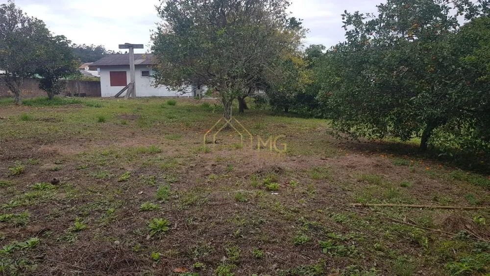 Terreno, 2017 m² - Foto 12