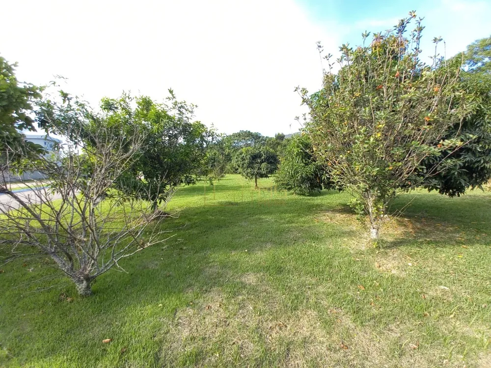 Casa, 3 quartos, 269 m² - Foto 14