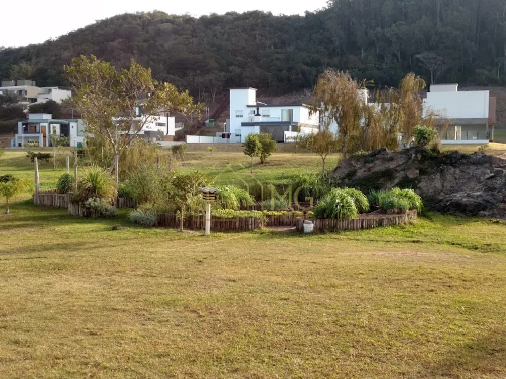 Casa, 4 quartos, 378 m² - Foto 16