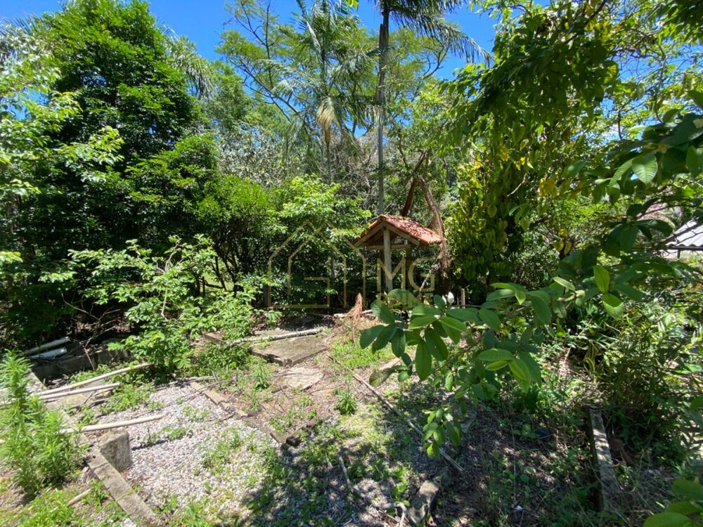 Sítio à venda com 4 quartos, 5400m² - Foto 7