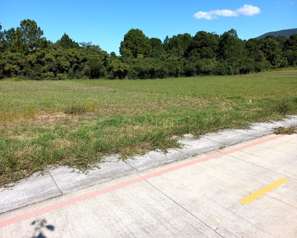 Terreno, 602 m² - Foto 3