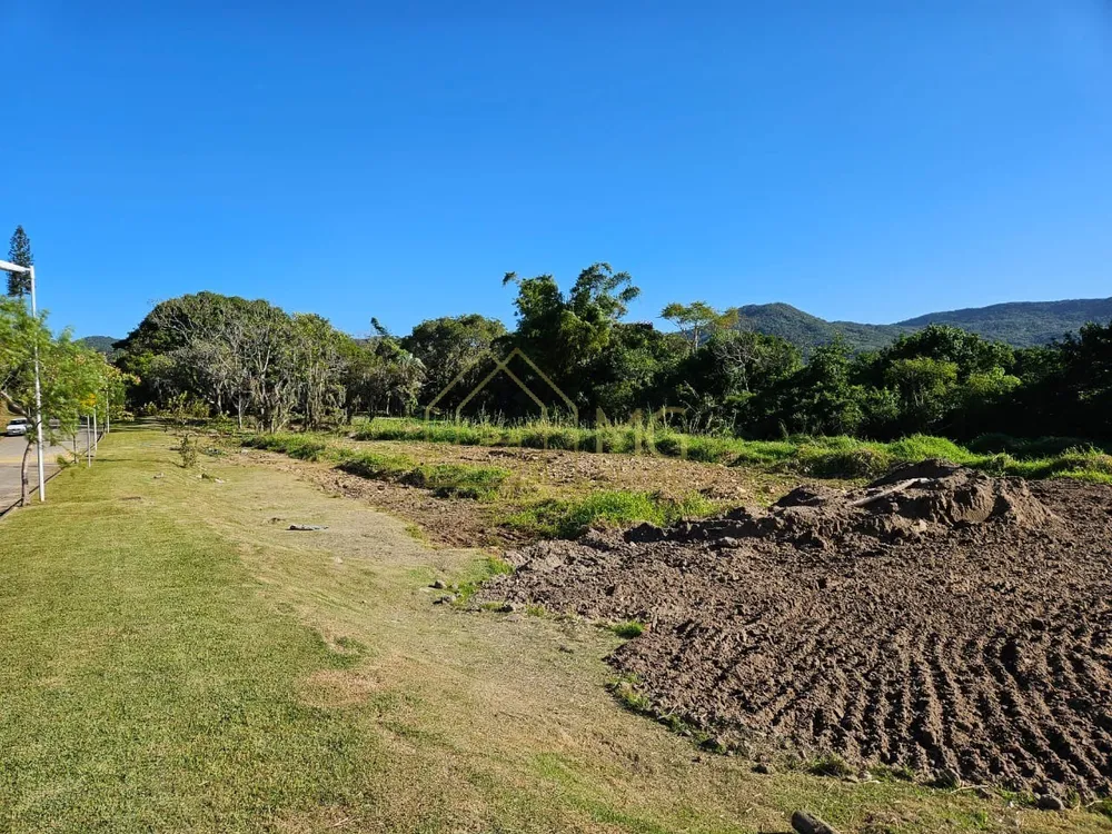 Terreno, 2460 m² - Foto 8
