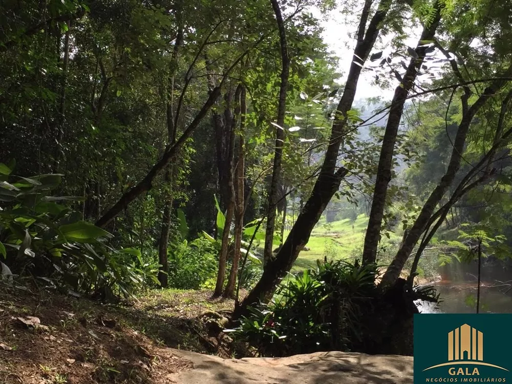 Fazenda, 240 hectares - Foto 4