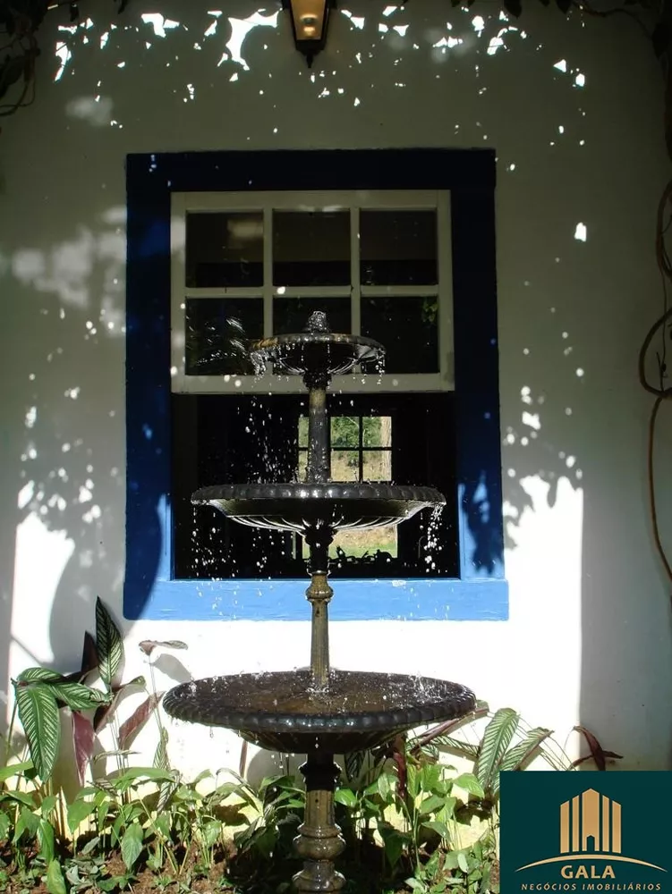 Fazenda, 240 hectares - Foto 10
