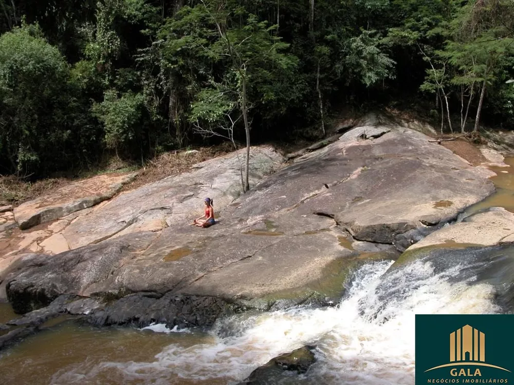 Fazenda, 240 hectares - Foto 3