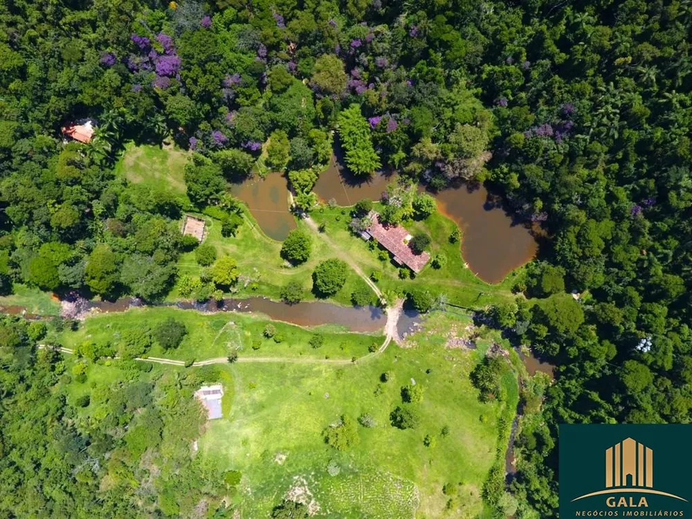 Fazenda, 240 hectares - Foto 6