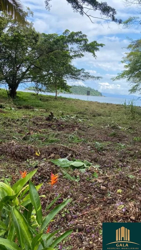 Terreno, 2 hectares - Foto 10