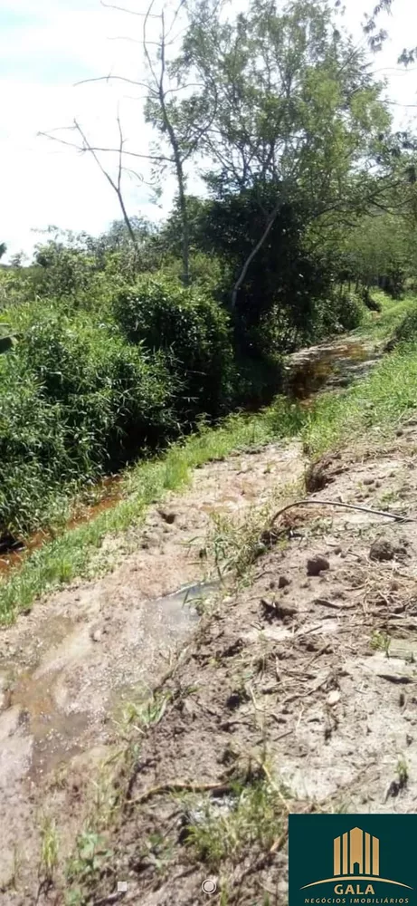 Sítio, 1500 hectares - Foto 14