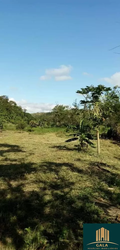 Sítio, 1500 hectares - Foto 17