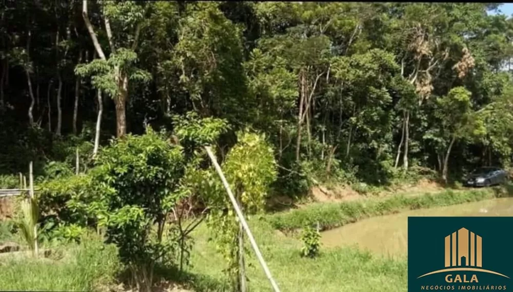 Sítio, 1500 hectares - Foto 16