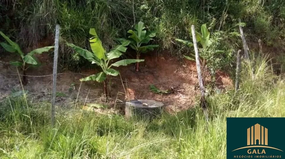 Sítio, 1500 hectares - Foto 19