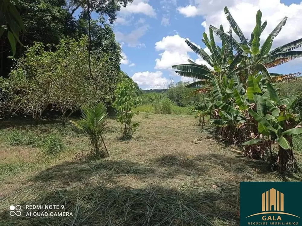 Sítio, 1500 hectares - Foto 20