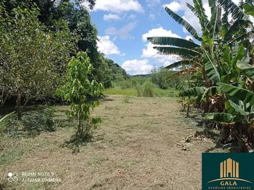 Sítio, 1500 hectares - Foto 13