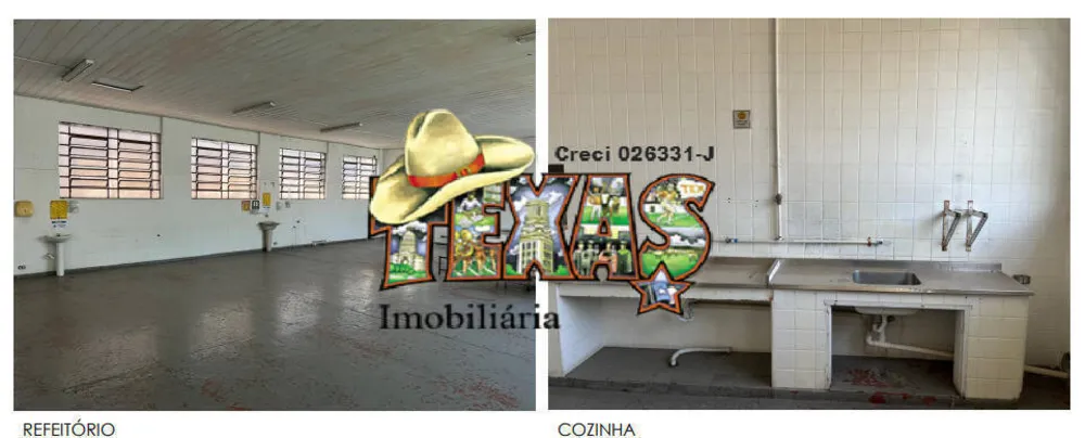 Terreno, 3 hectares - Foto 4