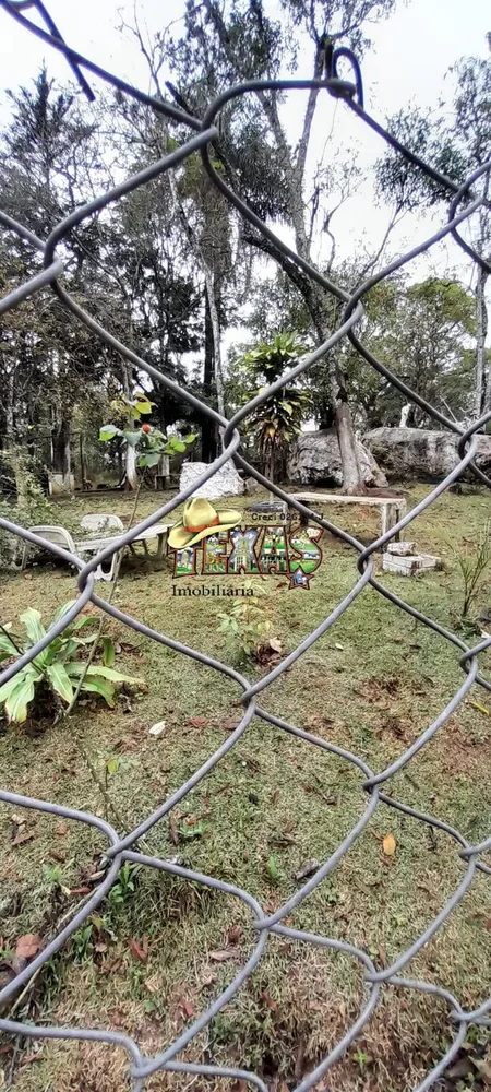 Chácara, 3 quartos, 5010 m² - Foto 3
