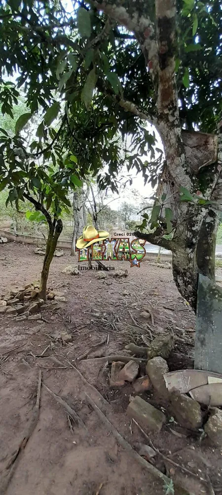 Chácara, 3 quartos, 5010 m² - Foto 7