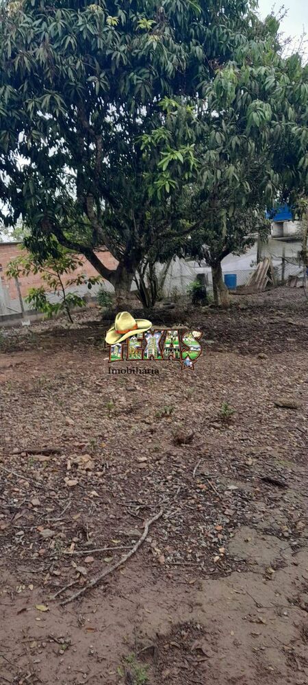 Chácara à venda com 3 quartos, 5010m² - Foto 22