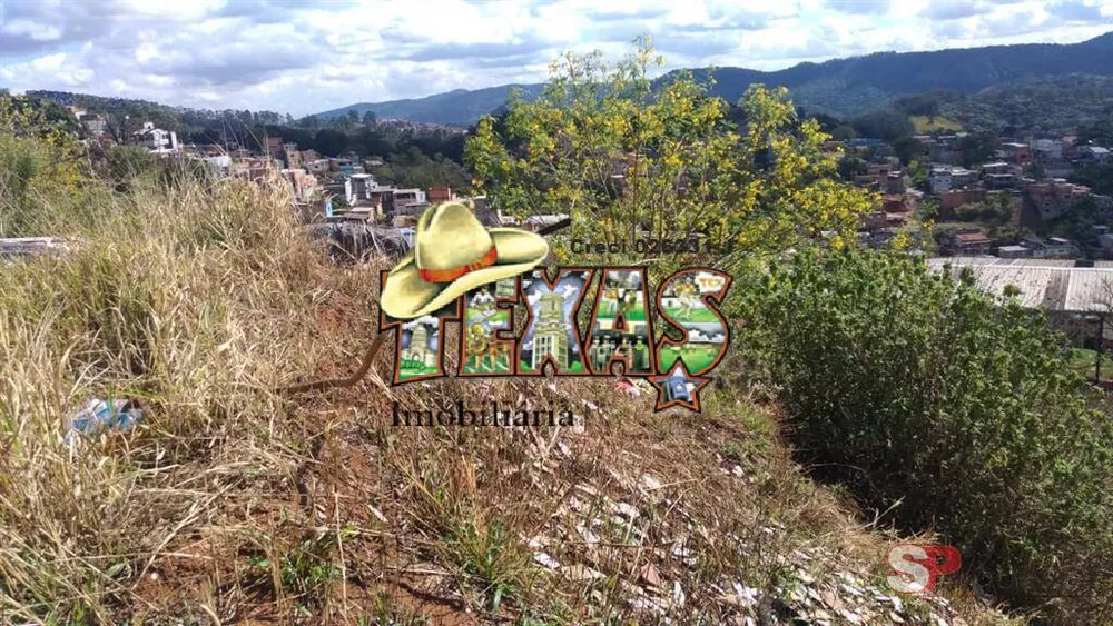Terreno, 4000 m² - Foto 5