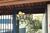 Sobrado, 2 quartos, 78 m² - Foto 2