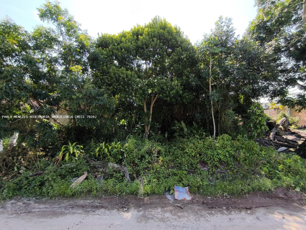Terreno à venda, 360m² - Foto 3