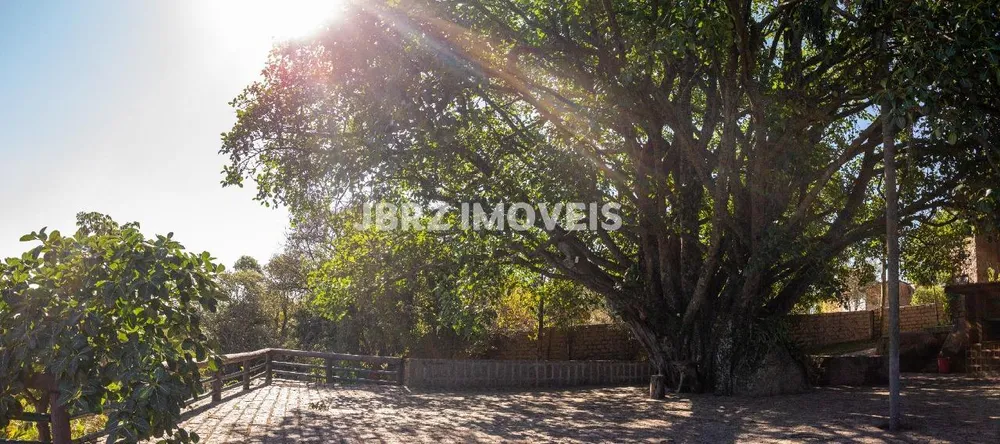Sítio, 20 quartos, 4 hectares - Foto 20