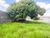Terreno, 484 m² - Foto 3