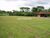 Sítio, 12 quartos, 16 hectares - Foto 2