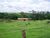 Sítio, 12 quartos, 16 hectares - Foto 12