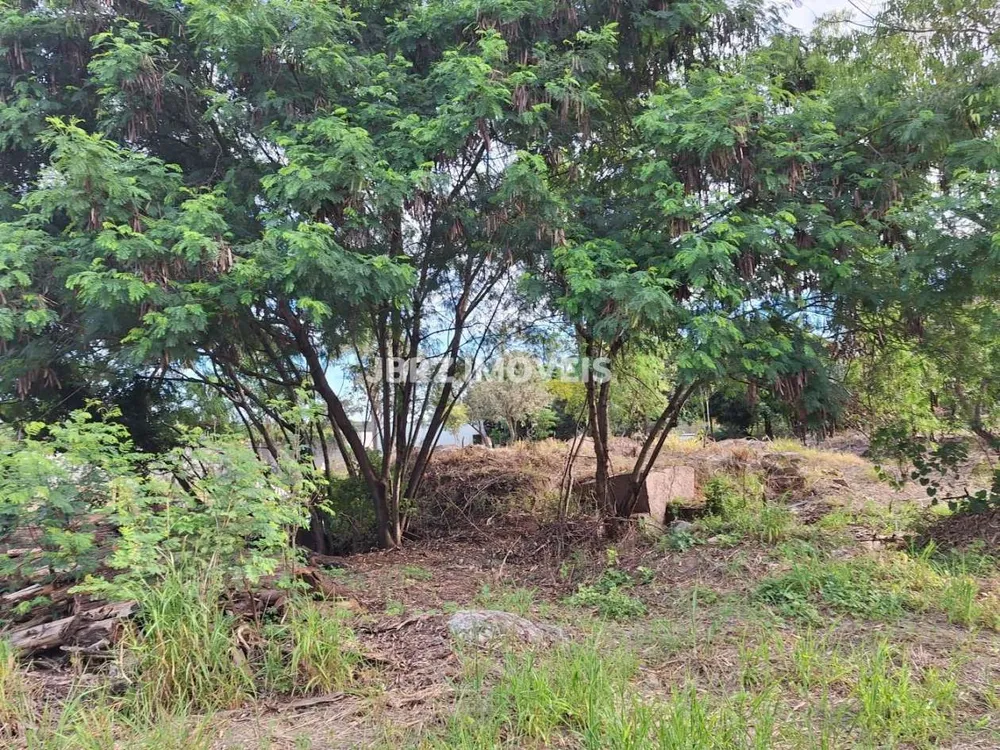 Terreno, 3030 m² - Foto 11