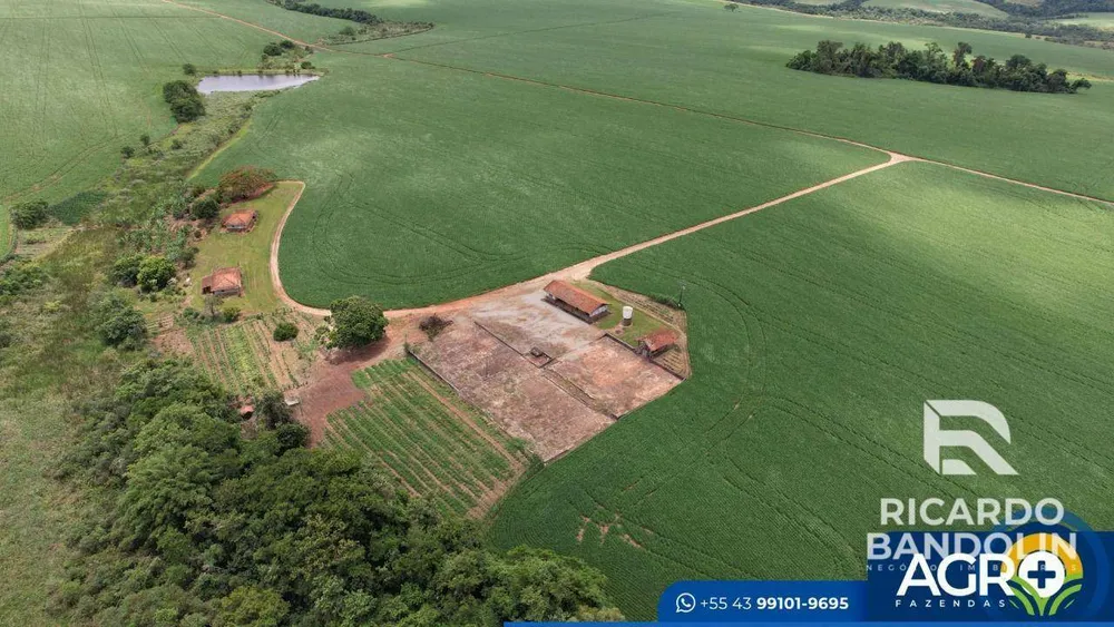 Terreno, 517 hectares - Foto 3