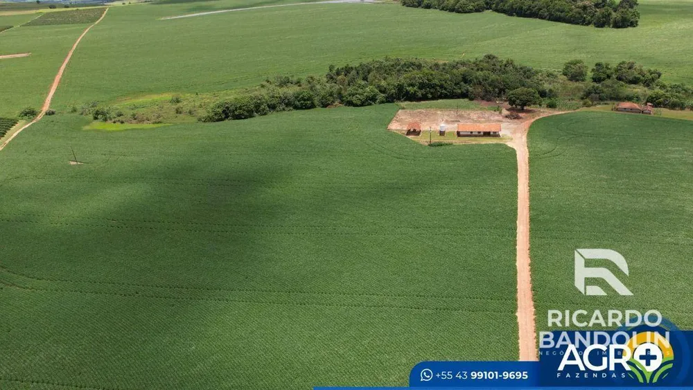 Terreno, 517 hectares - Foto 4
