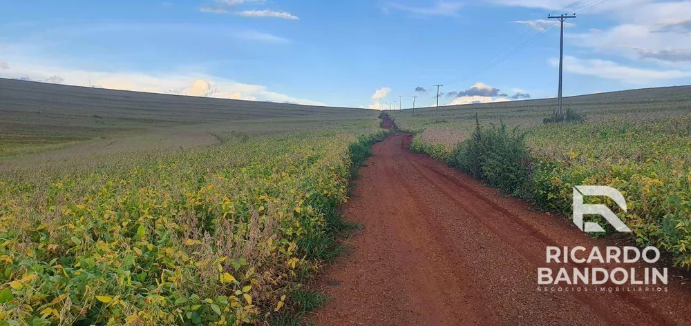 Fazenda, 206 hectares - Foto 3