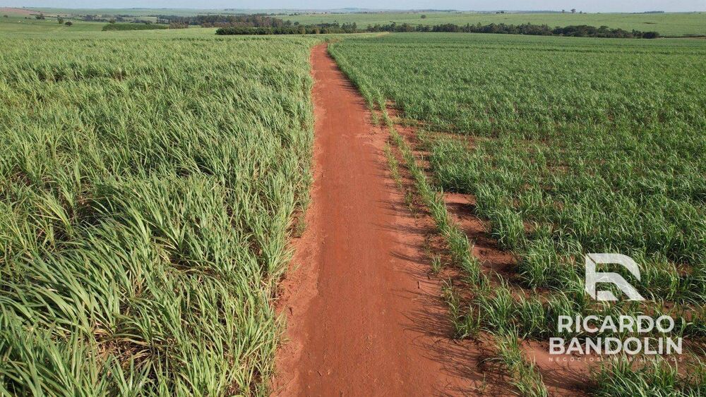 Fazenda, 542 hectares - Foto 3