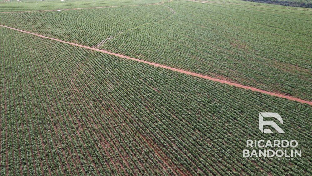 Fazenda, 542 hectares - Foto 2