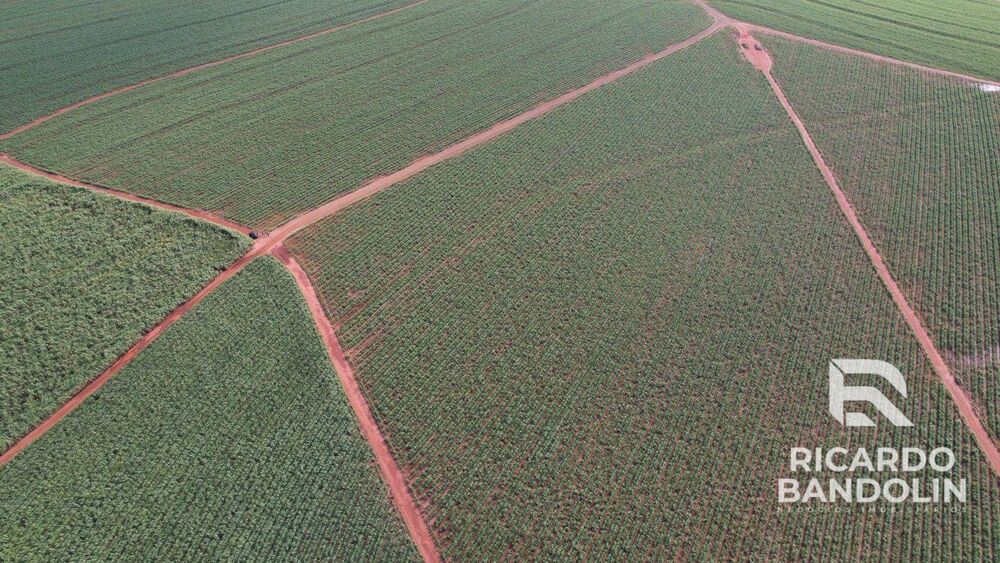 Fazenda, 542 hectares - Foto 1